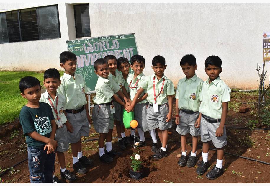 Environment Day