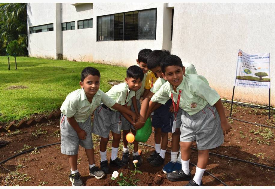 Environment Day