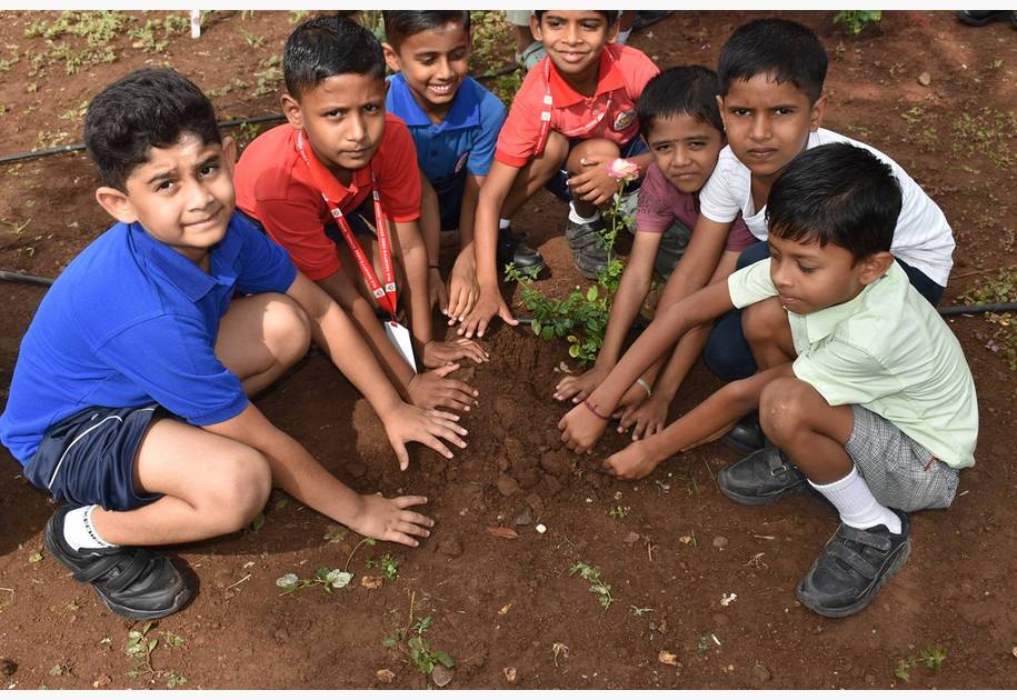 Environment Day