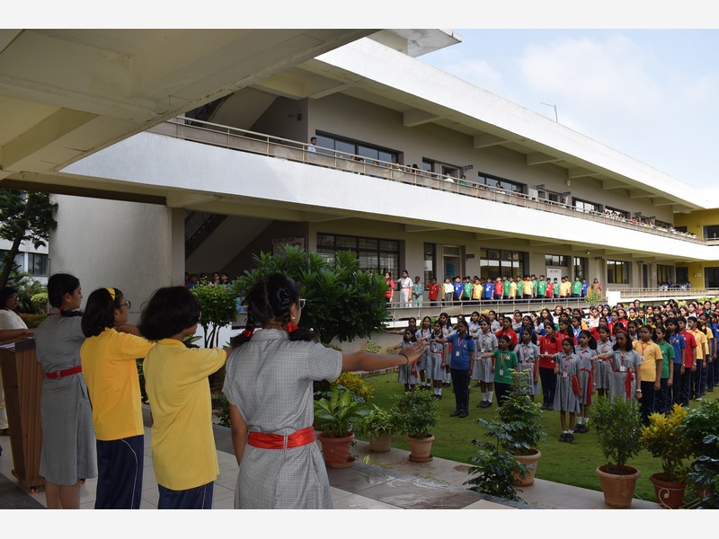 Environment Day