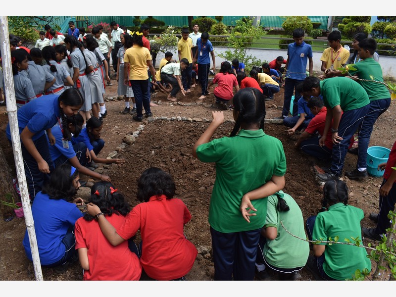 Environment Day