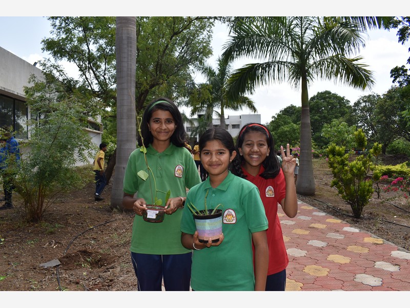 Environment Day
