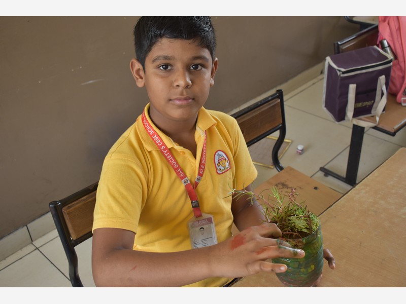 Environment Day