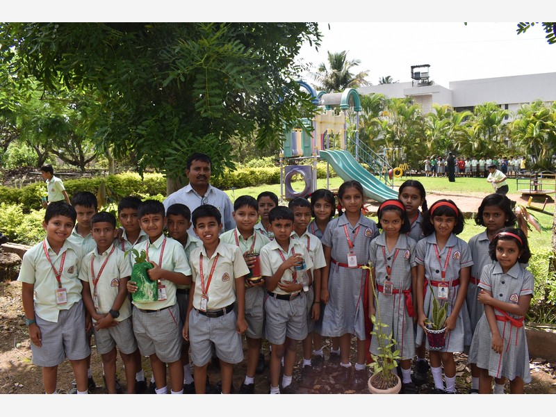Environment Day