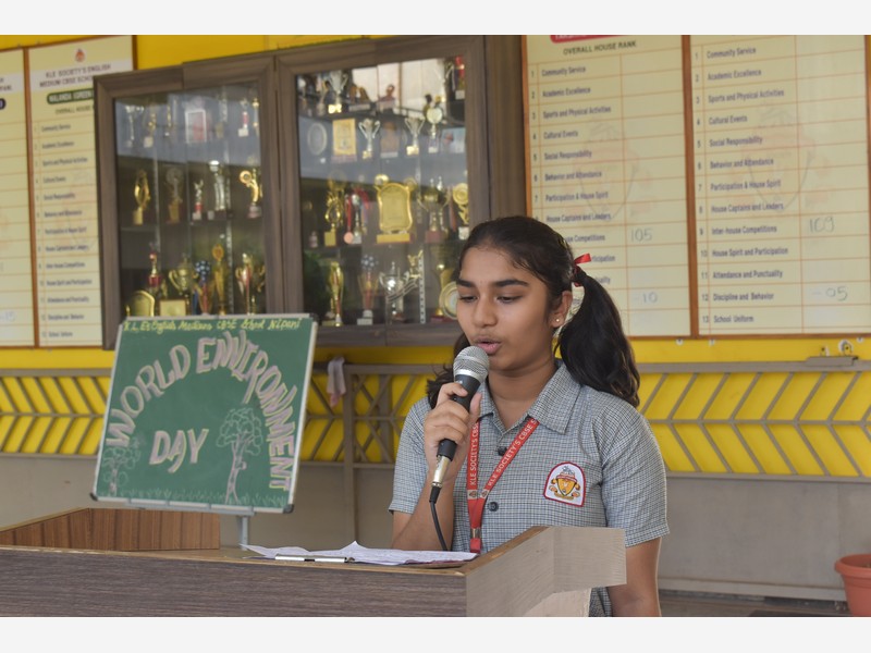 Environment Day
