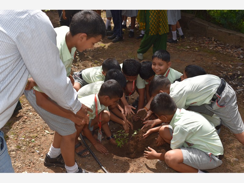 Environment Day
