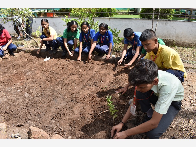 Environment Day