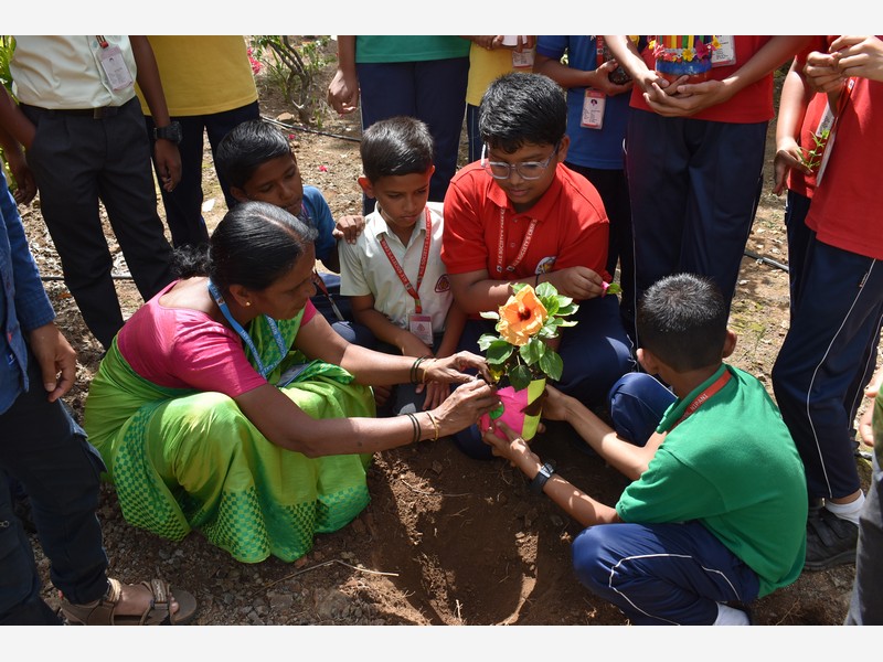 Environment Day