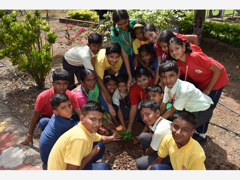 Environment Day
