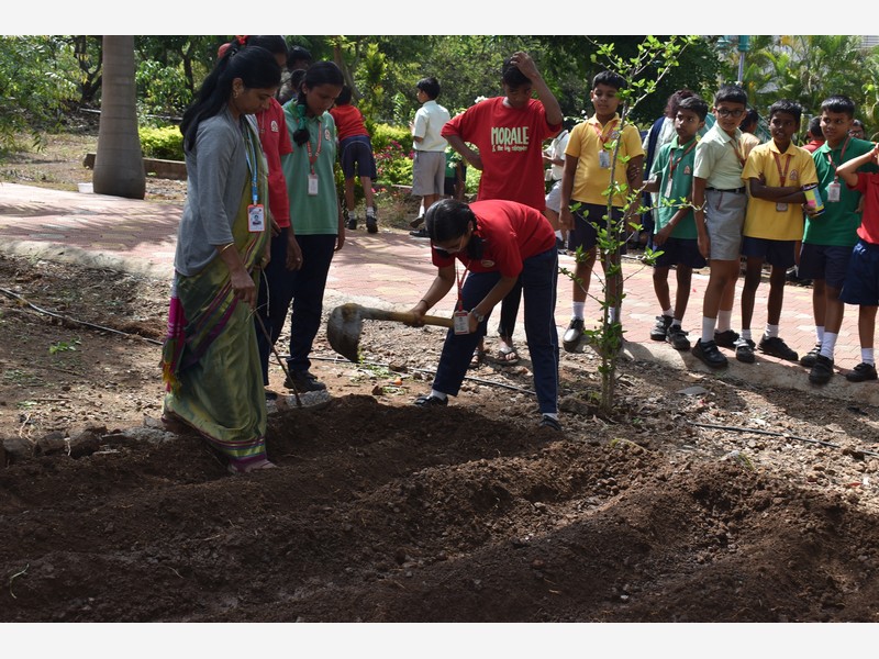 Environment Day