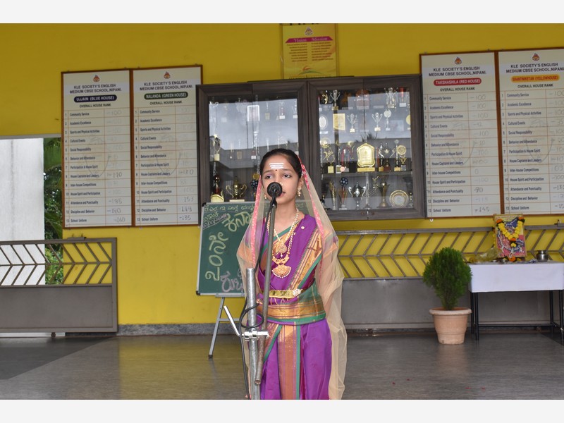 Karnataka Rajyotsava