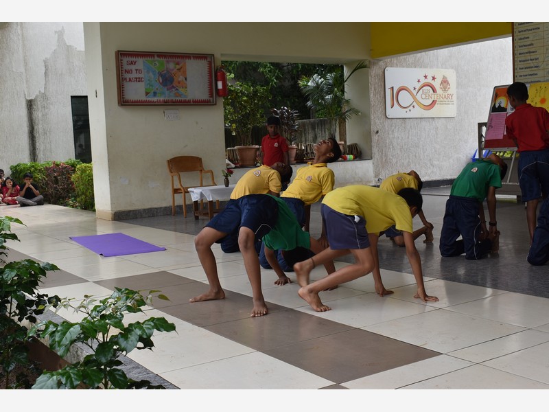 Yoga Day and music Day