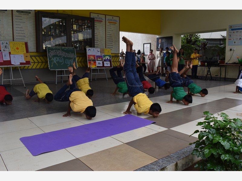 Yoga Day and music Day