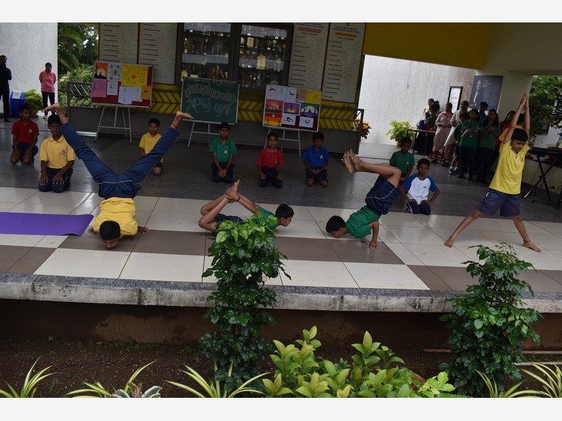 Yoga Day and music Day