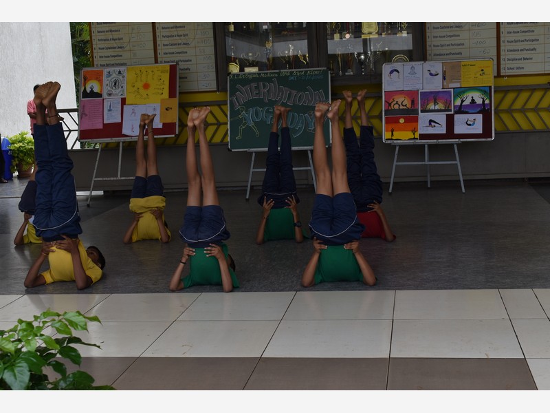 Yoga Day and music Day