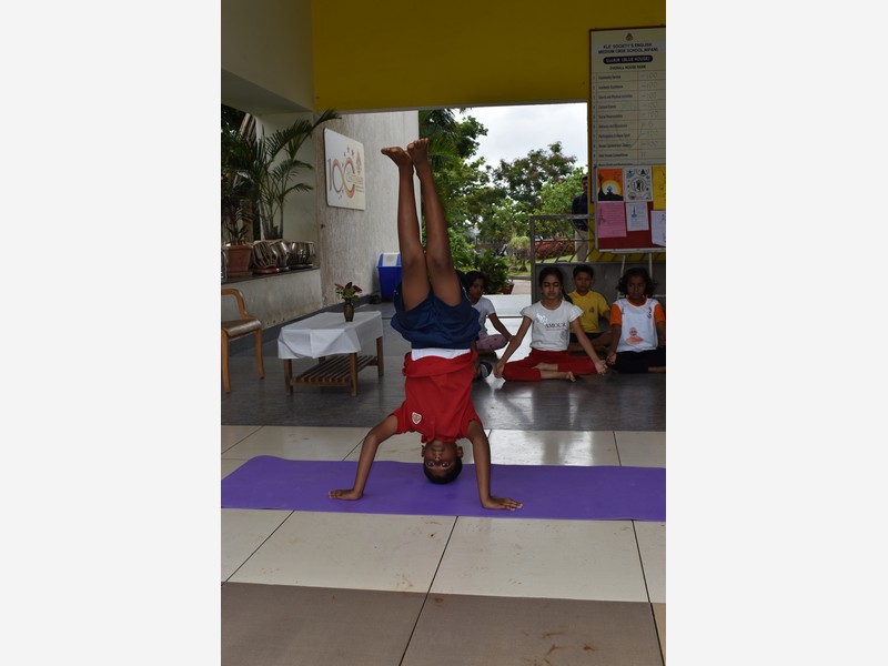 Yoga Day and music Day